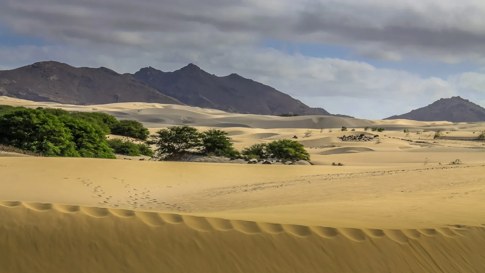 ️ Les dunes et l'intérieur des terres