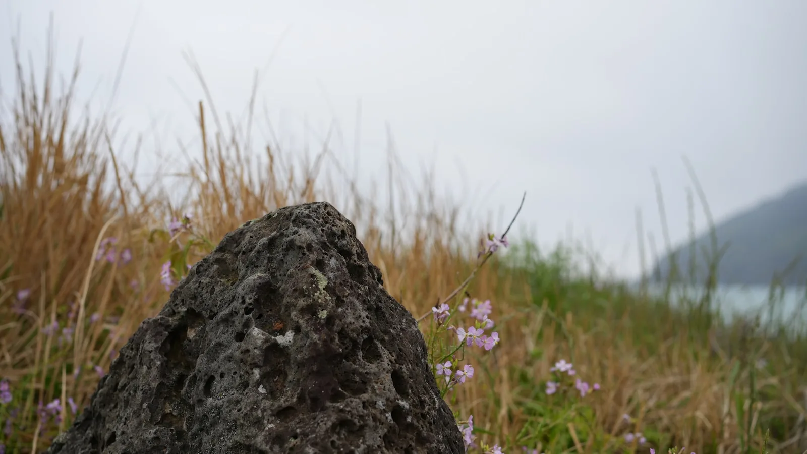 Les paysages de Brava — l'île des fleurs en images