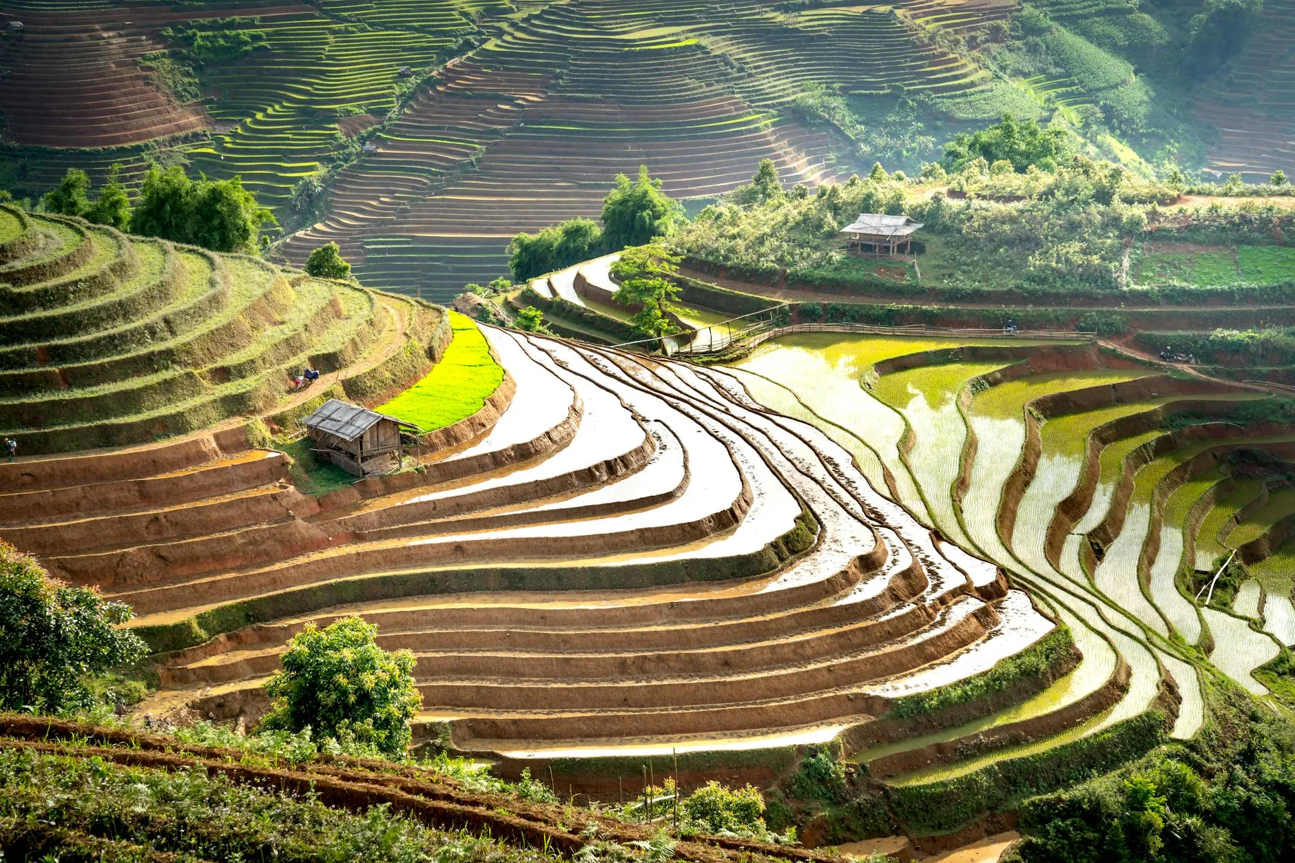 L'agriculture en terrasses — un patrimoine vivant